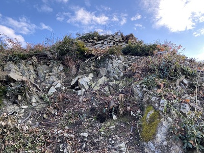 出丸と西の丸全景