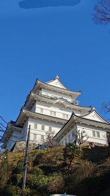 天守(神社側から)