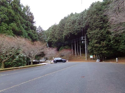 広大な無料駐車場