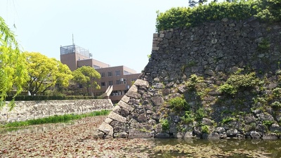 熊本城と同じ石垣
