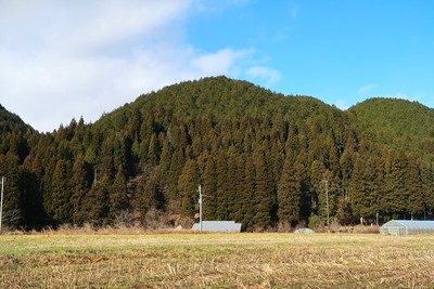 中桐城 遠景（南東より）