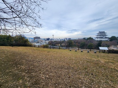 八幡山古郭東曲輪から天守