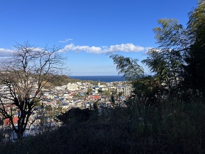 攻城口からの真鶴の街と相模湾