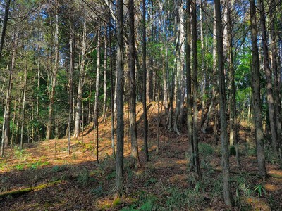 城塁（城ヶ峯）