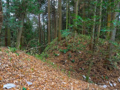 堀切（隠居峯）