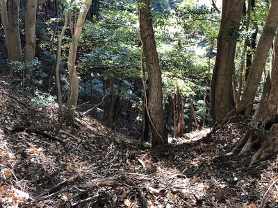 北尾根先端の堀切