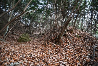 横堀と土塁