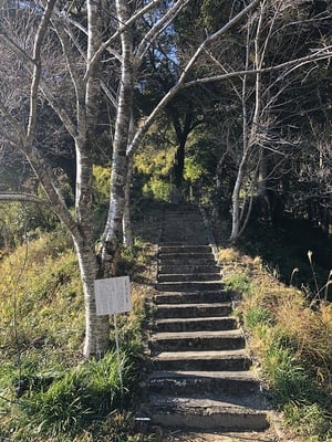 普門寺跡（花倉の乱関連）