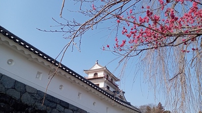 三階櫓と梅の花