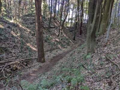 本丸土塁と四の郭間空堀