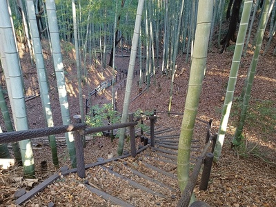 西郭の北側空堀