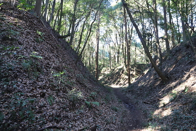 高い土塁