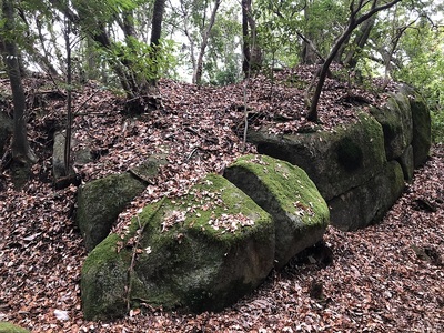 主郭東側の曲輪の土塁