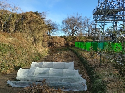 畑化した空堀跡