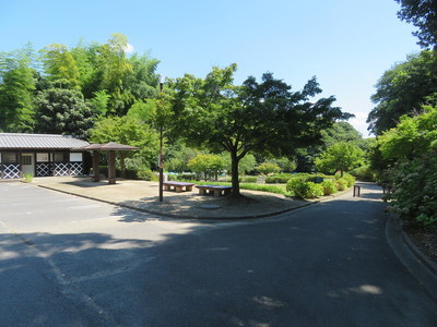 しょうぶ園（北側空堀跡）