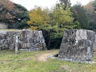 山中御殿平東側にある菅谷口