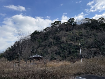 公園側からの遠景