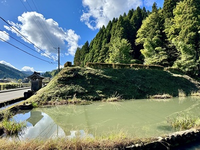 下城戸の土塁（北から）