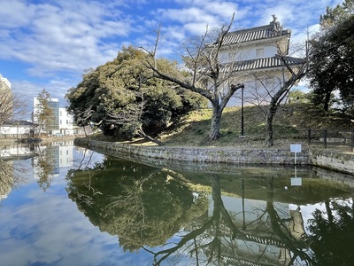 西櫓と水堀