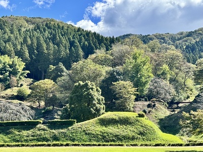 一乗城山（西から）