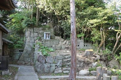 妙見神社裏の石垣