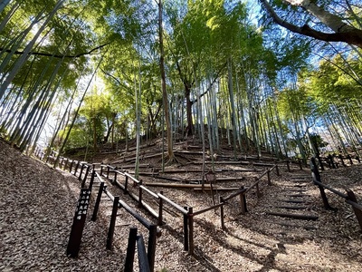 本丸と二の丸の間の空堀