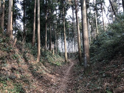 堀底の道