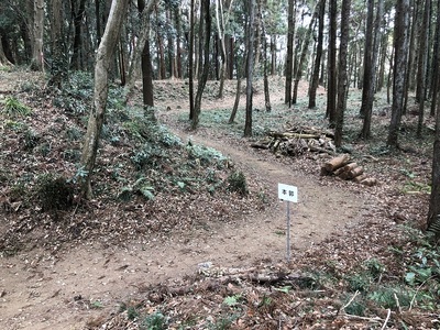 虎口