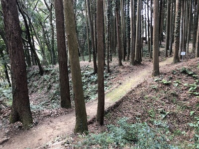 土橋