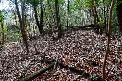 土塁（主郭北面）