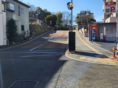 上蓮池跡方面から本丸を見る