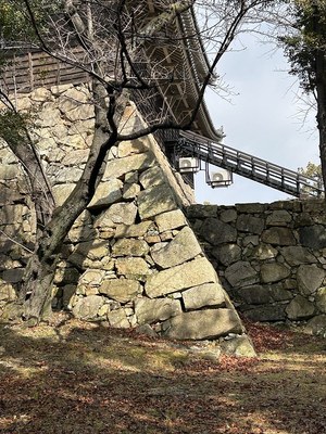 直角に切っていない石垣