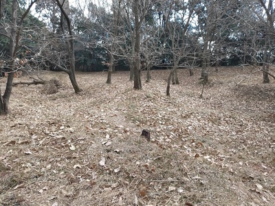 附出城　高城本丸2
