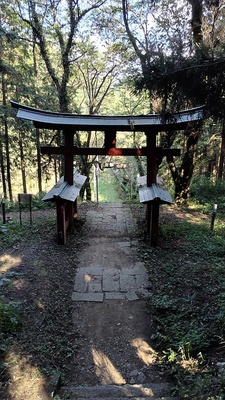 藤武神社鳥居