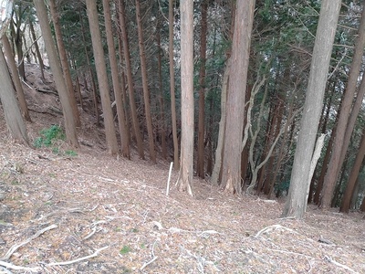 本丸周囲の崖(切岸)
