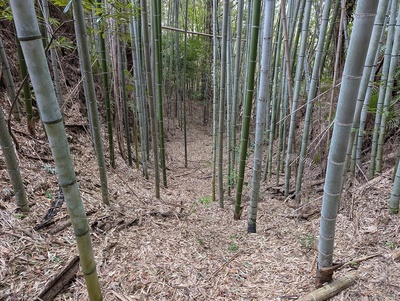 竪堀