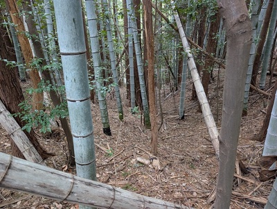 堀切