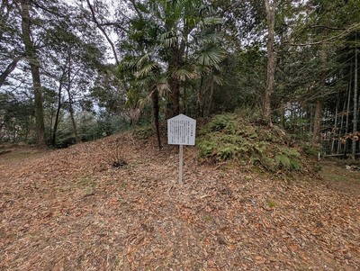 土塁(詰)