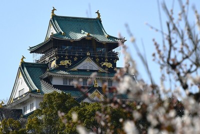 梅林からの天守