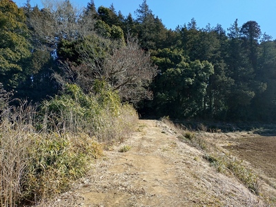 山道池を渡る土橋