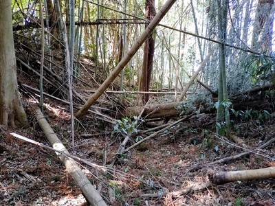 主郭北側の空堀