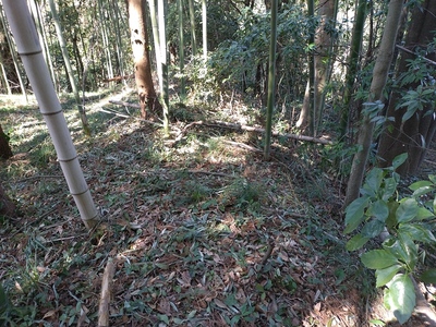 土塁