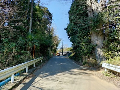 大手