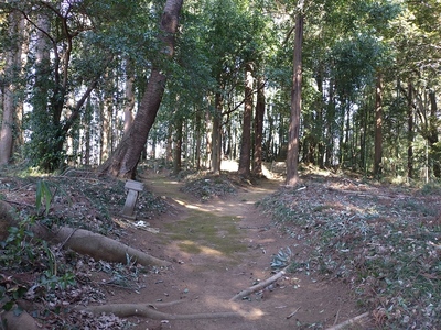主郭
