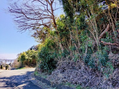 物見台の城塁