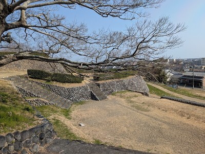 桜の季節までもう少し