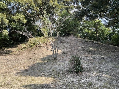 東物見台