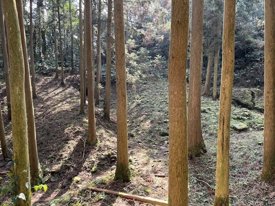 三之土塁と四之土塁