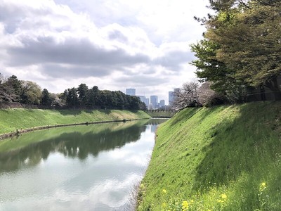 桜田濠