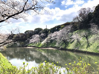 牛ヶ淵